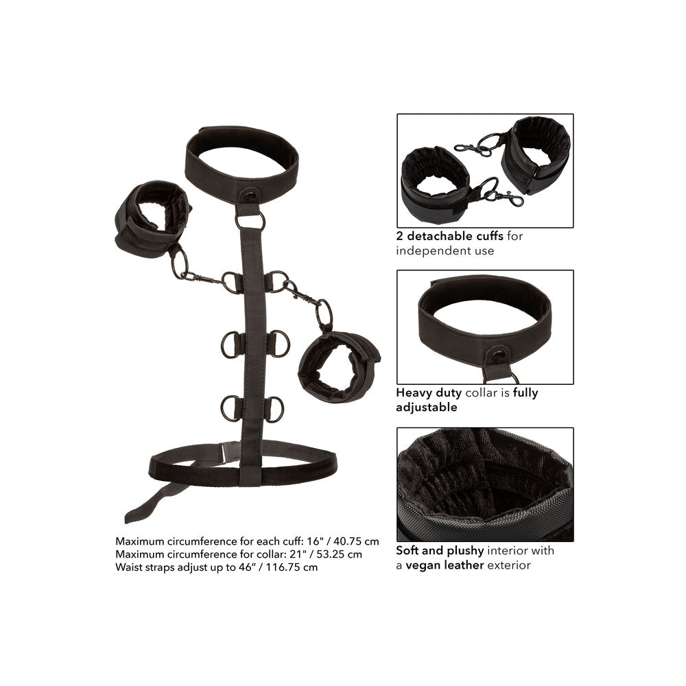 Boundless Collar Body Restraint – Adjustable Body Restraint > Bondage Gear > Restraints