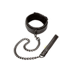 Boundless Collar and Leash Set – Adjustable Bondage Accessories > Bondage Gear > Collars & Leashes