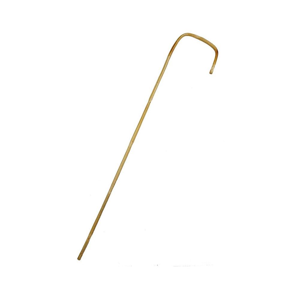 Rouge Bamboo Cane – Lacquered Finish Spanking Cane > Bondage Gear > Crops