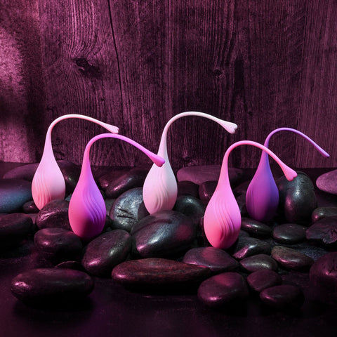 Evolved Tight and Delight Kegel Trainer Set 5 Piece Kit KEGEL TOYS