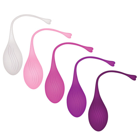 Evolved Tight and Delight Kegel Trainer Set 5 Piece Kit KEGEL TOYS