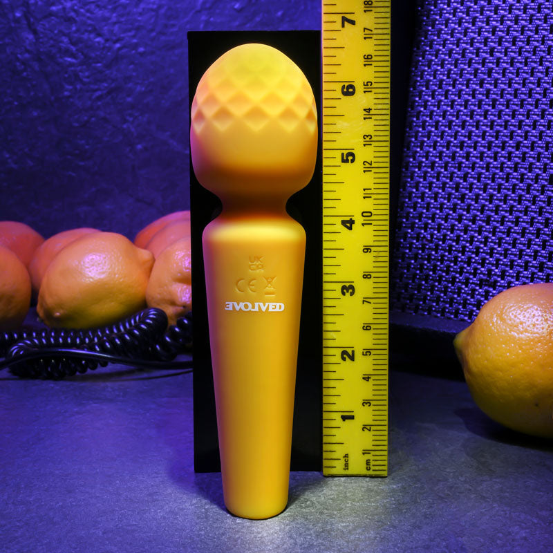 Evolved SUNSHINE -  17 cm USB Rechargeable Massage Wand