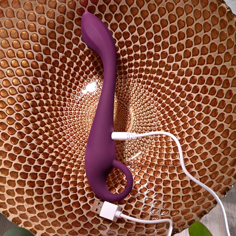 Evolved Loch Ness G 19 Centimeter USB Rechargeable Vibrator Vibrators - G Spot