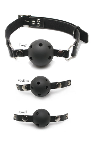 Fetish Fantasy Series Ball Gag Training System - 3 Interchangeable Sizes > Bondage Gear > Restraints