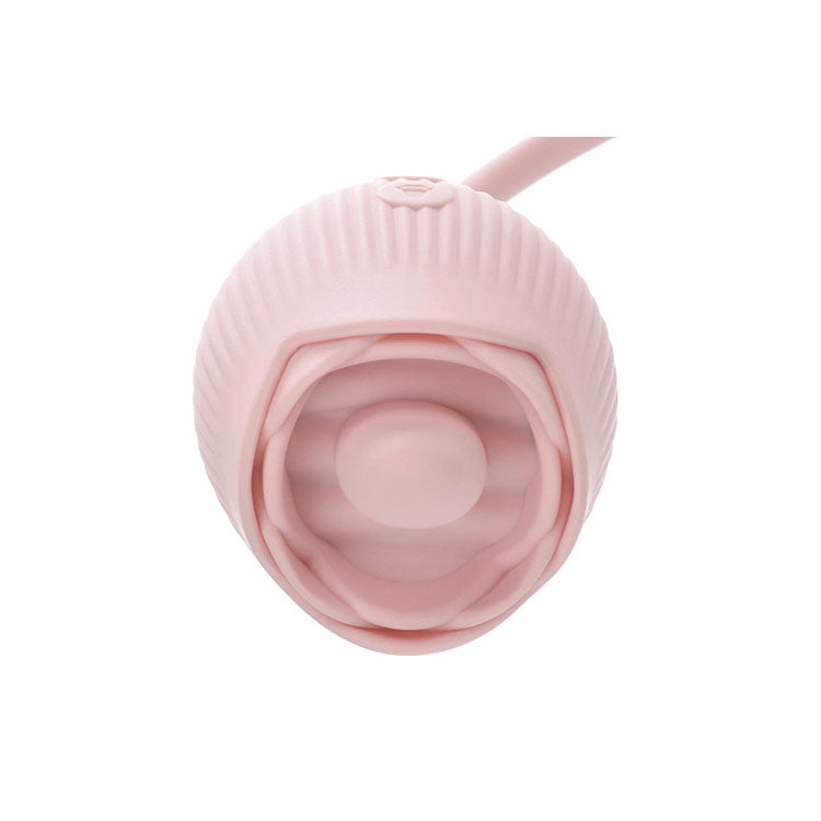 Adam & Eve Rose Vibrator USB Rechargeable Stimulator Adult Stuff Warehouse Adam & Eve Rose Vibrator USB Rechargeable Stimulator Adult Stuff Warehouse