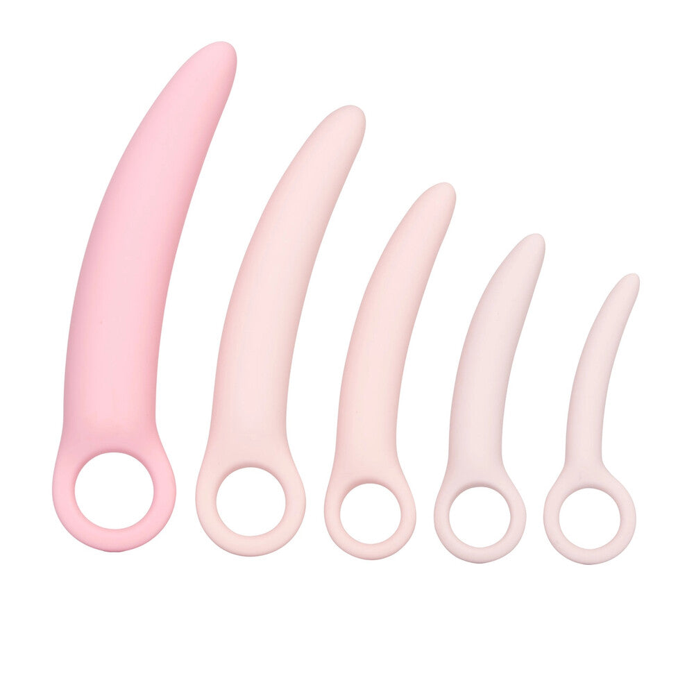 Inspire Silicone Dilator 5-Piece Set – Premium Silicone Dilators > Sex Toys > Dilators Main image