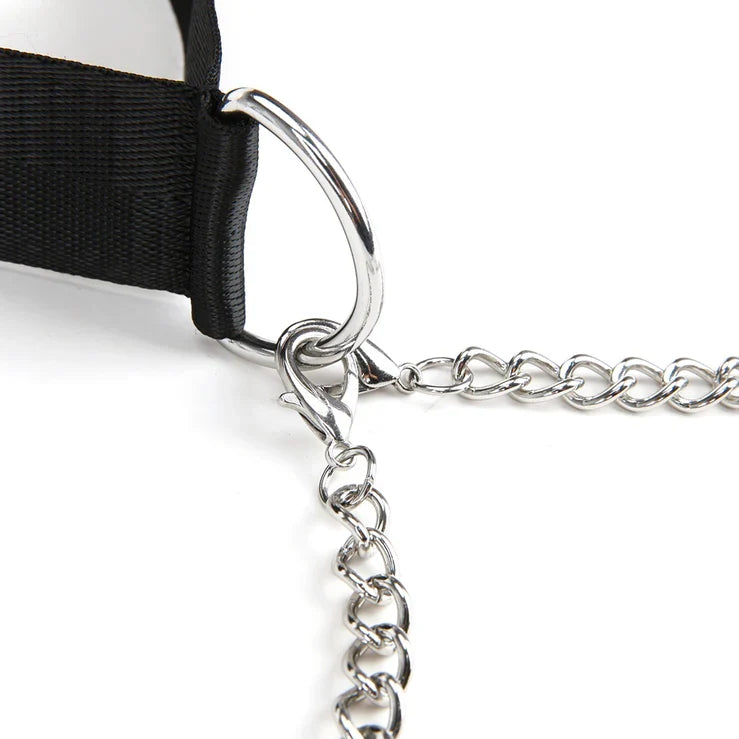 Lux Fetish Adjustable Collar and Nipple Clips – Fetish Accessory Set > Bondage Gear > Collars & Leashes