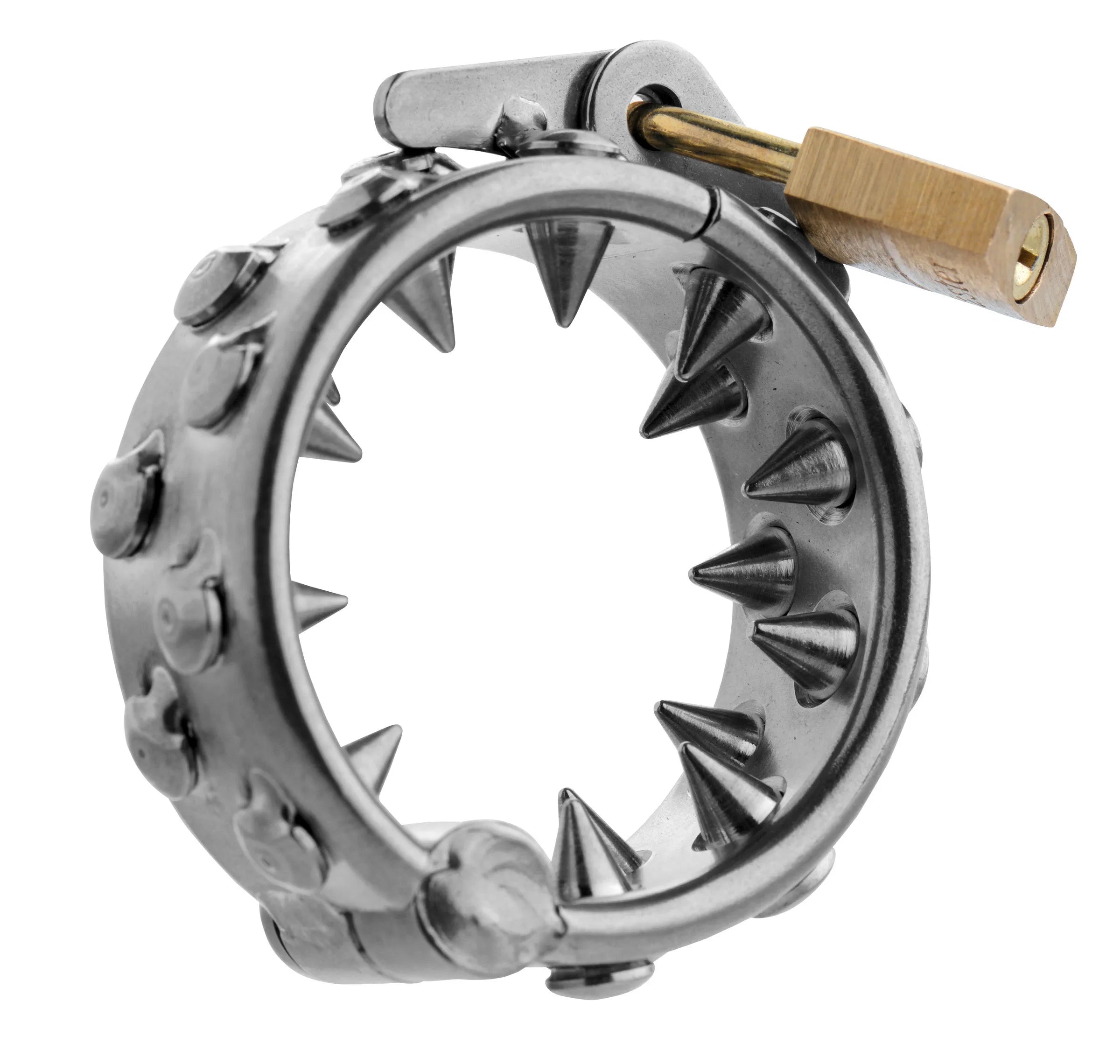 Master Series Impaler Locking Ring with Spikes – CBT Ring > Bondage Gear > Male Chastity