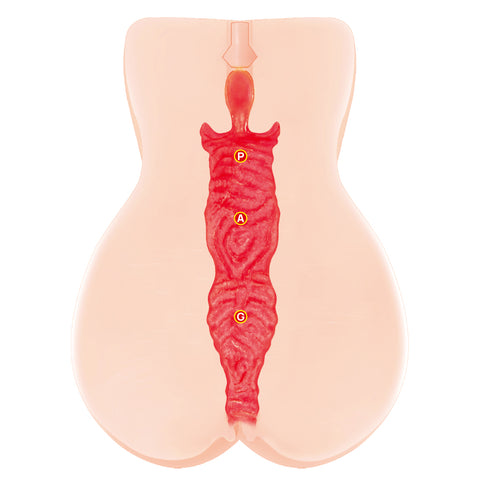 Kokos Vanilla Onahole – Dual Layer Vagina Stroker > Sex Toys For Men > Masturbators > Manual