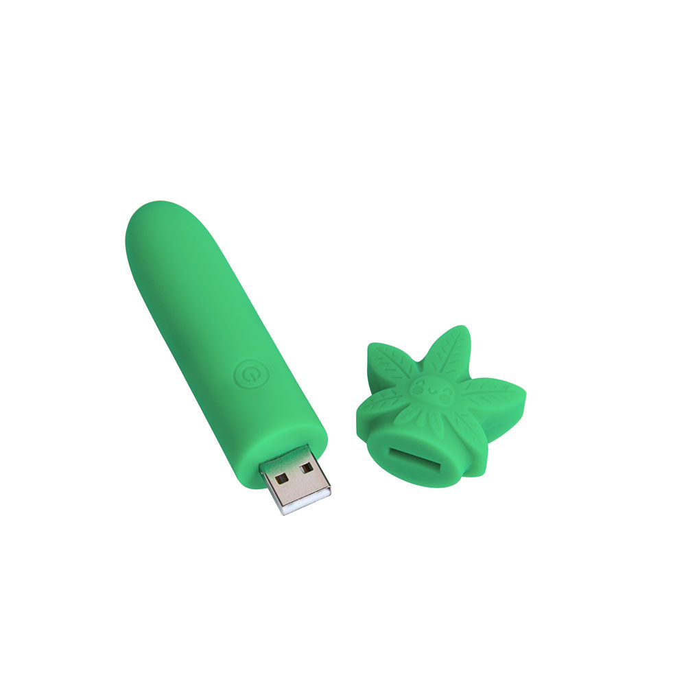 Maia STONI 420 – 11.1 cm USB Rechargeable Bullet Vibrator > Vibrators > Mini Vibrators
