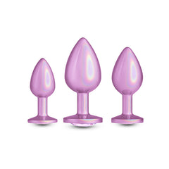Rear Assets Trainer Kit - Iridescent - Iridescent Metallic Butt Plugs - Set of 3 Sizes ANAL TOYS
