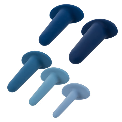 They-Ology 5-Piece Wearable Anal Training Set in Gradient Blue Silicone with Graduated Sizes > Anal Range > Butt Plug Kits