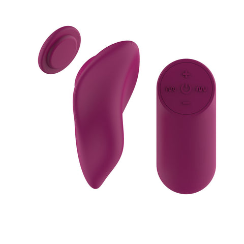 Passion Play Magnet Panty Vibe with Remote – USB Rechargeable Panty Vibrator > Sex Toys For Ladies > Panty Vibes