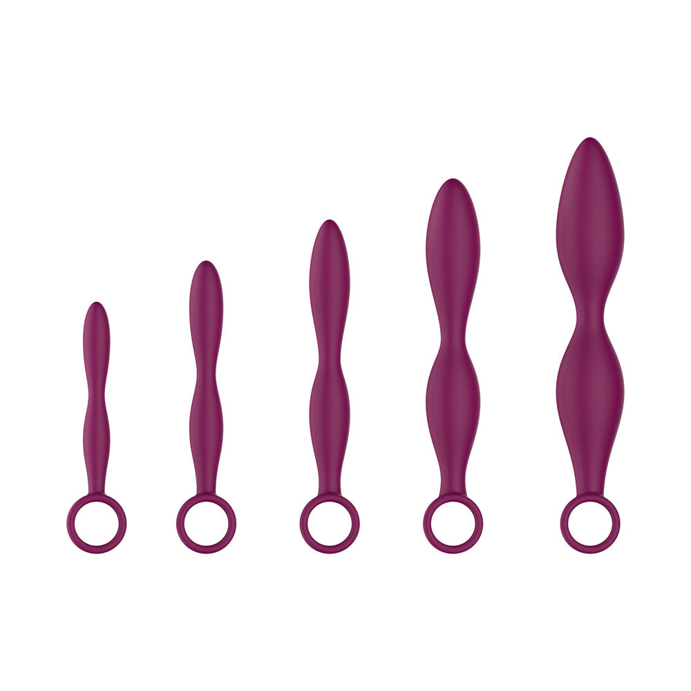 Passion Play Silicone Dilator Set – 5-Piece Vaginal Dilator Kit Purple > Sex Toys > Dilators