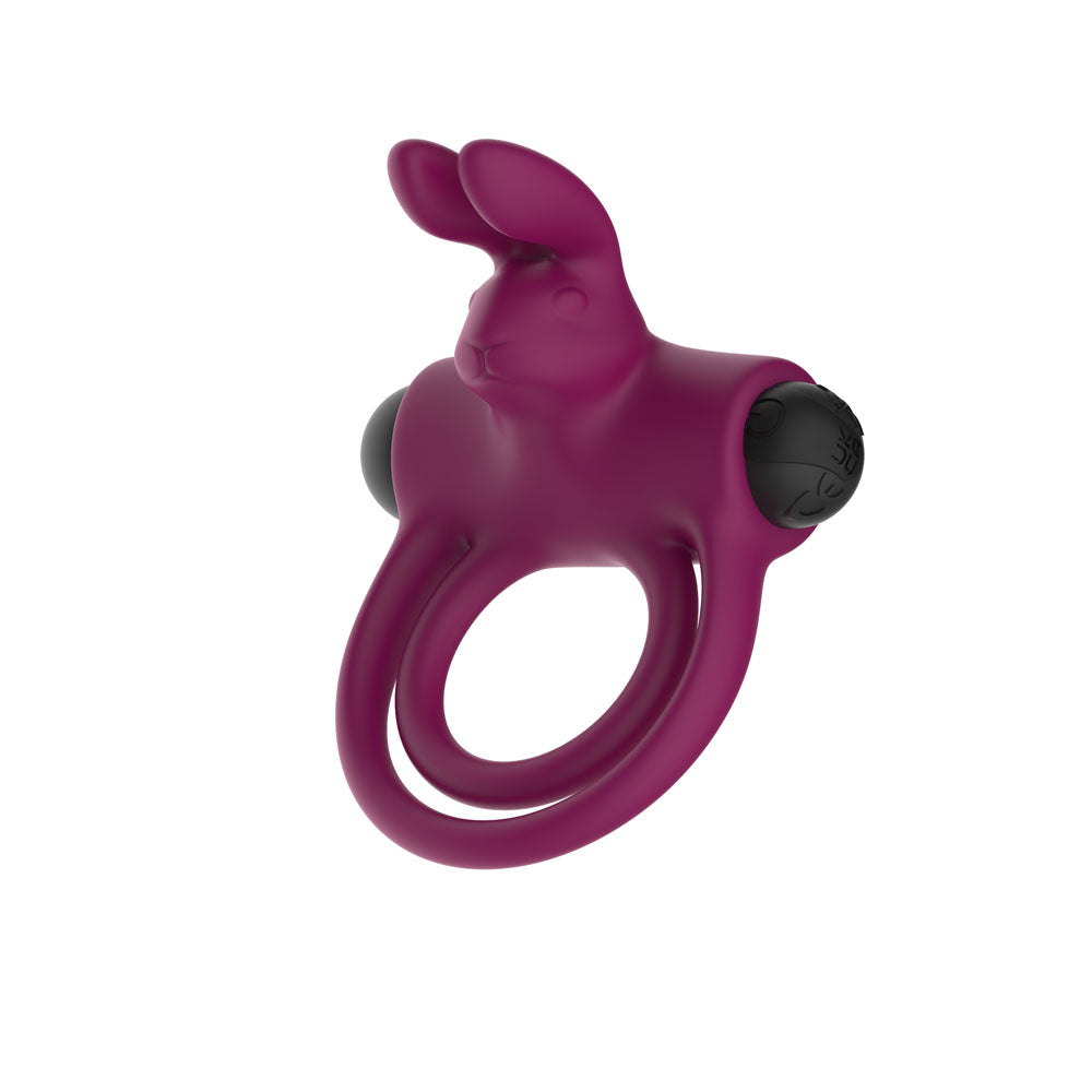 Passion Play Silicone Rabbit Vibrating Cock Ring – USB Rechargeable Penis Ring Purple > Sex Toys > Couples Toys Main image