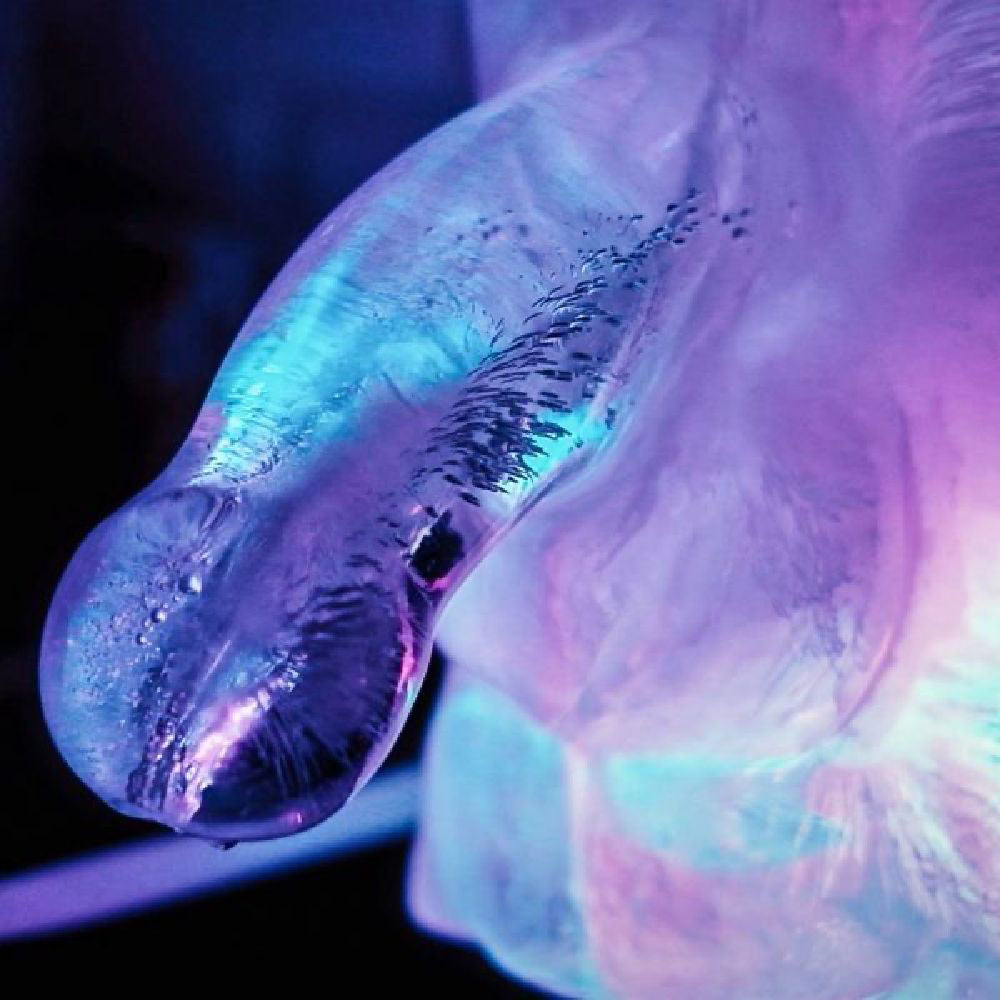 Play Wiv Me Huge Penis Ice Luge Mould – Full-Size for Standard Freezers Secondary image