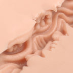Pussy Masturbator Dani – Realistic Masturbator > Sex Toys For Men > Masturbators Cup