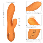 Newport Beach Babe Rechargeable Textured Sleek Vibrator > Vibrators > Ladies > Rabbit