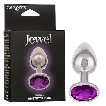 Jewel Small Amethyst Plug Metallic Silver with Purple Gem Default Title Butt Plugs