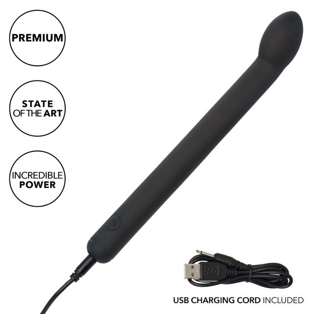 Dr. Joel Kaplan Black Silicone Prostate Massager with 10 Vibration Speeds and Charging > Anal Range > Prostate Plugs