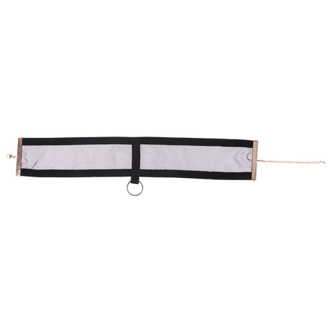 Sex and Mischief Sheer Day Collar for Sensual Sophistication Restraints