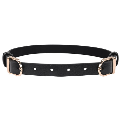 Sex and Mischief Double Buckle Day Collar Restraints