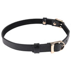 Sex and Mischief Double Buckle Day Collar > Bondage Gear > Collars & Leashes