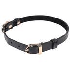 Sex and Mischief Double Buckle Day Collar > Bondage Gear > Collars & Leashes