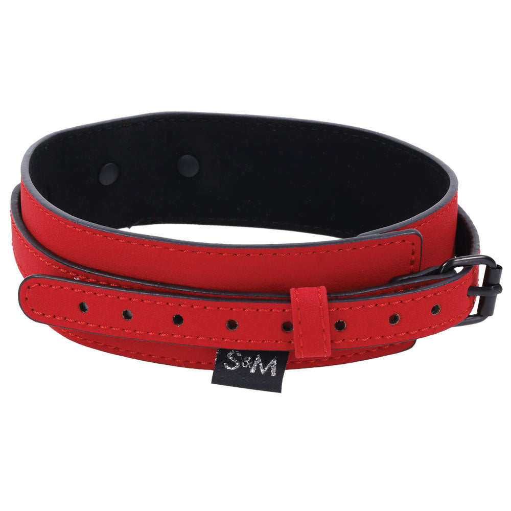 S&M Amor Heart Collar and Leash