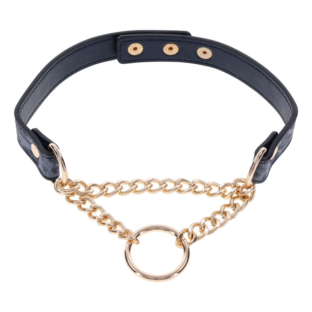 Sex & Mischief Cougar Day Collar - Navy /Gold Collar