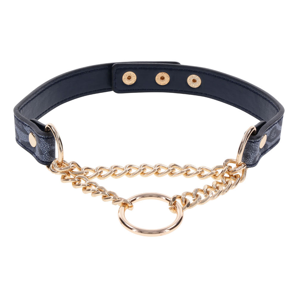 Sex & Mischief Cougar Day Collar - Navy /Gold Collar