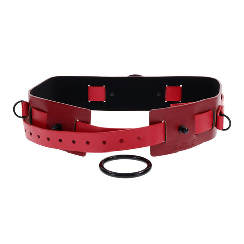 S&M Exs & Ohs Bound and Belted Adjustable Belt 31-42.5 Inches BONDAGE-TOYS