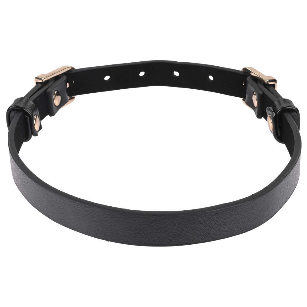 Sex and Mischief Double Buckle Day Collar > Bondage Gear > Collars