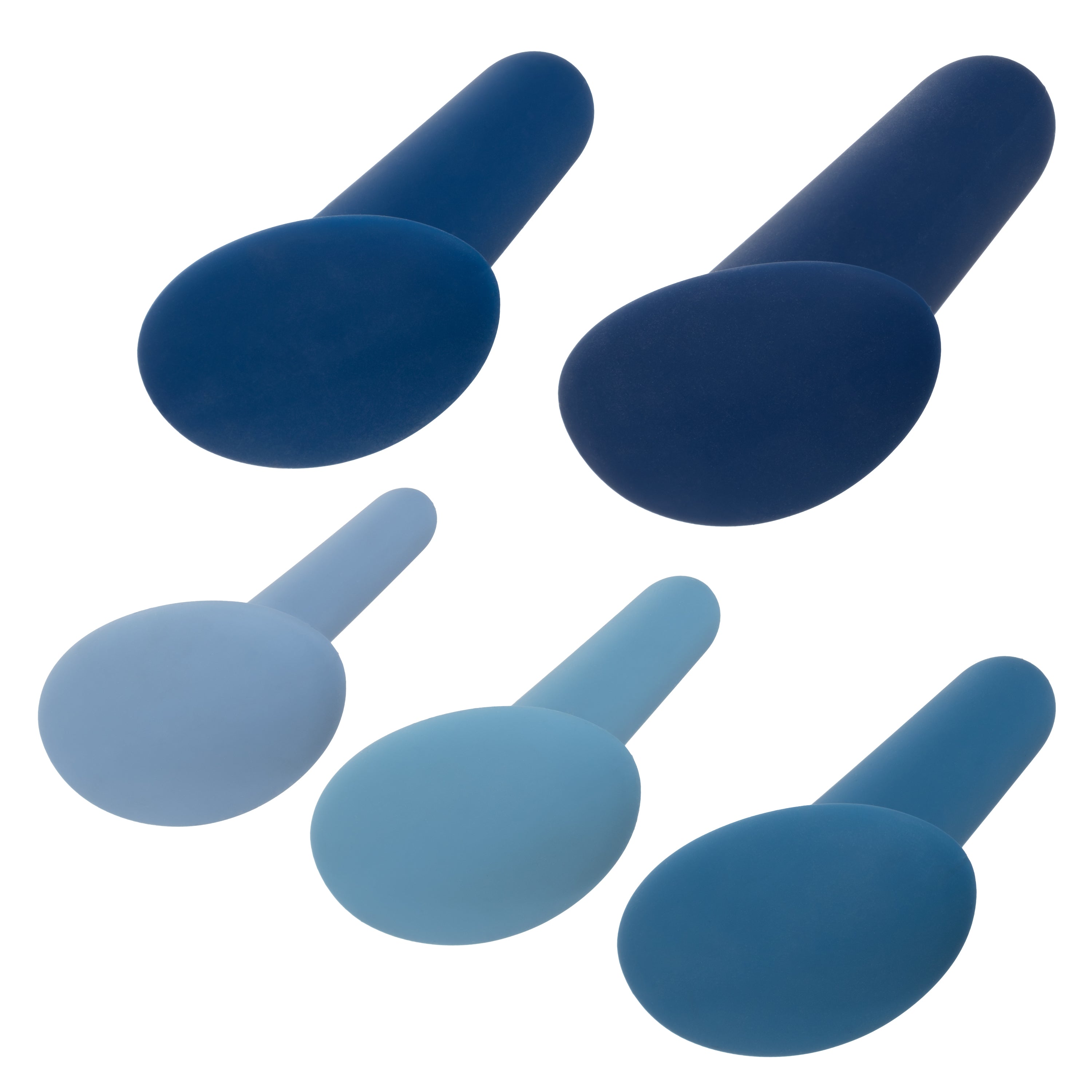They-Ology 5-Piece Wearable Anal Training Set in Gradient Blue Silicone with Graduated Sizes > Anal Range > Butt Plug Kits