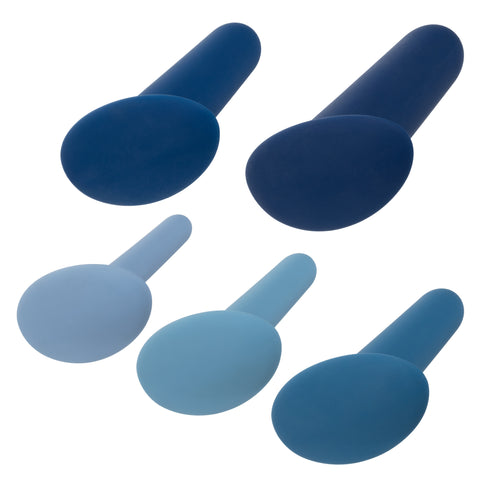 They-Ology 5-Piece Wearable Anal Training Set in Gradient Blue Silicone with Graduated Sizes > Anal Range > Butt Plug Kits