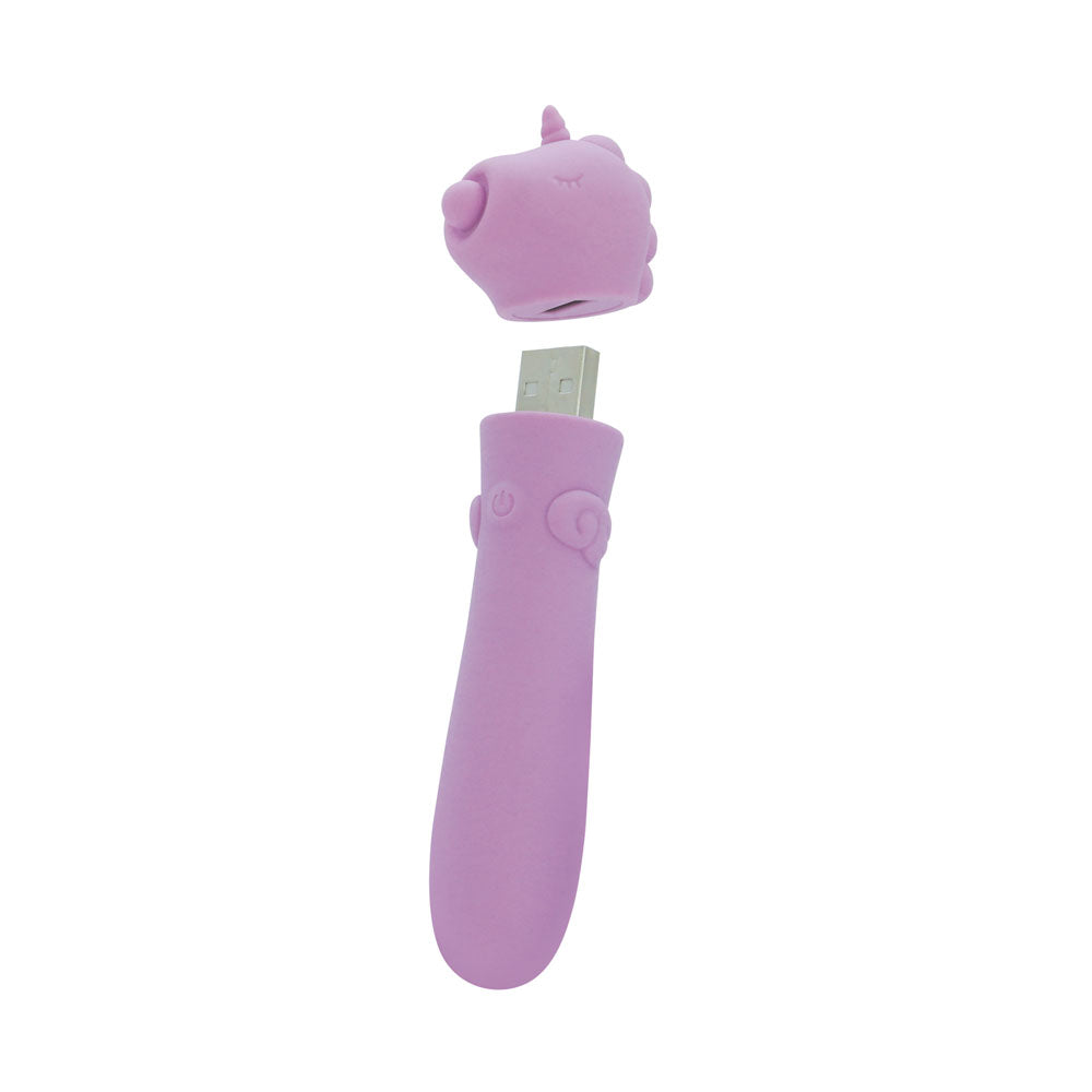 Unihorn Karma Lilac USB Rechargeable Silicone Bullet Vibrator with 10 Speeds > Vibrators > Ladies > Clitoral Vibrators and Stimulators