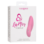 LuvMor Foreplay Pink Liquid Silicone 10 Speed Vibrator > Vibrators > Mini Vibrators