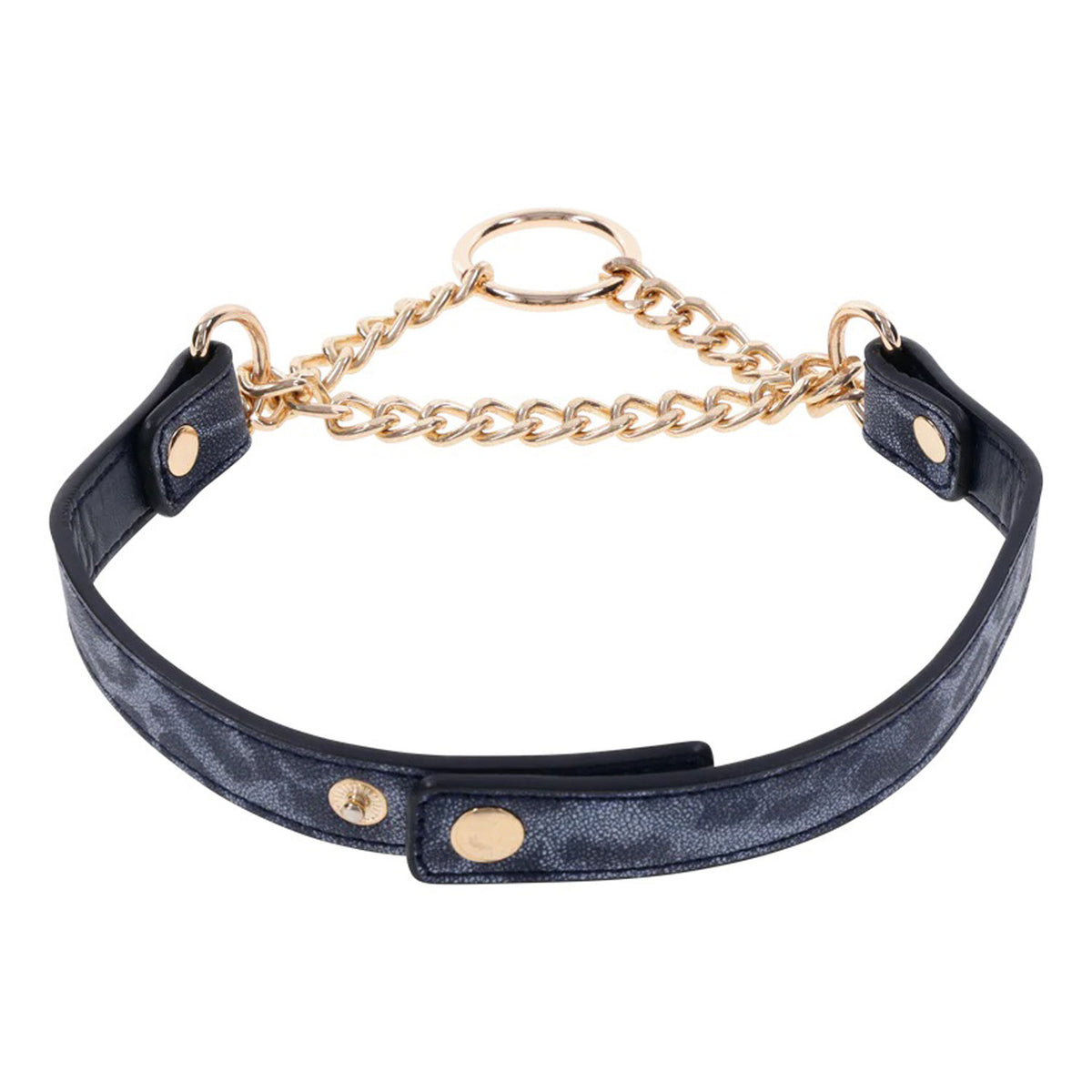 Sex & Mischief Cougar Day Collar Navy and Gold with Chain and Ring Size 38-43 cm Blue > Bondage Gear > Collars & Leashes