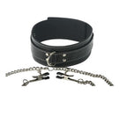 Coveted Collar and Clamp Union Set > Bondage Gear > Collars & Leashes