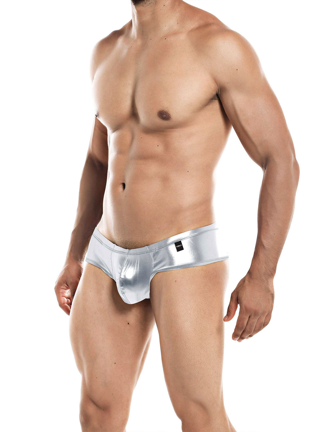High Cut Cheeky Brief Silver - Provocative - C4M