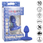Cheeky Gems Small Vibrating Probe - Purple