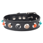 Collar With Thorns – Adjustable Collar Accessory > Bondage Gear > Collars & Leashes