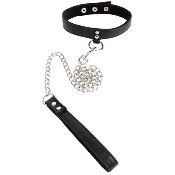 Follow The Leash With Collar Canine Walking Set > Sex Toys > Animal Play