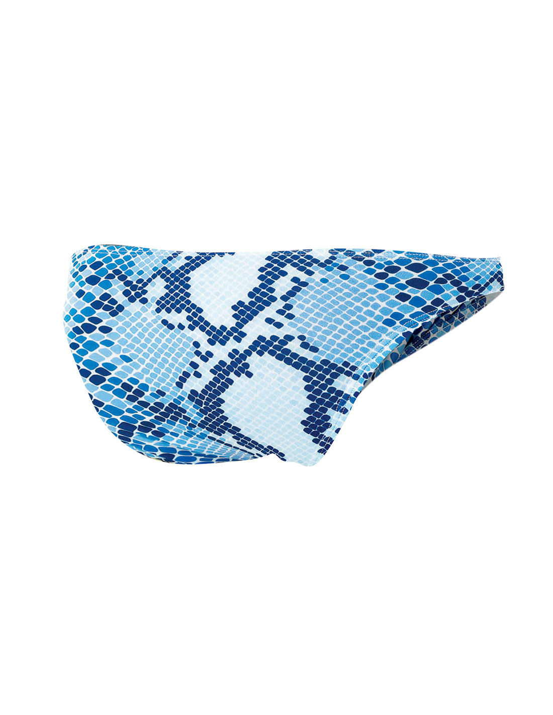 Low Rise Bikini Brief Snake - Provocative - C4M