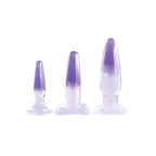 Glitzy Trainer 3 in 1 Dong Kit Set Purple with Three Graduated Sizes and Two Tone Color > Sex Toys > Dilators