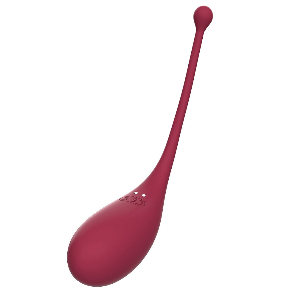 Adrien Lastic Inspiration Clitoral Suction Stimulator and Vibrating Egg with Remote Control in Burgundy Air Pulsation