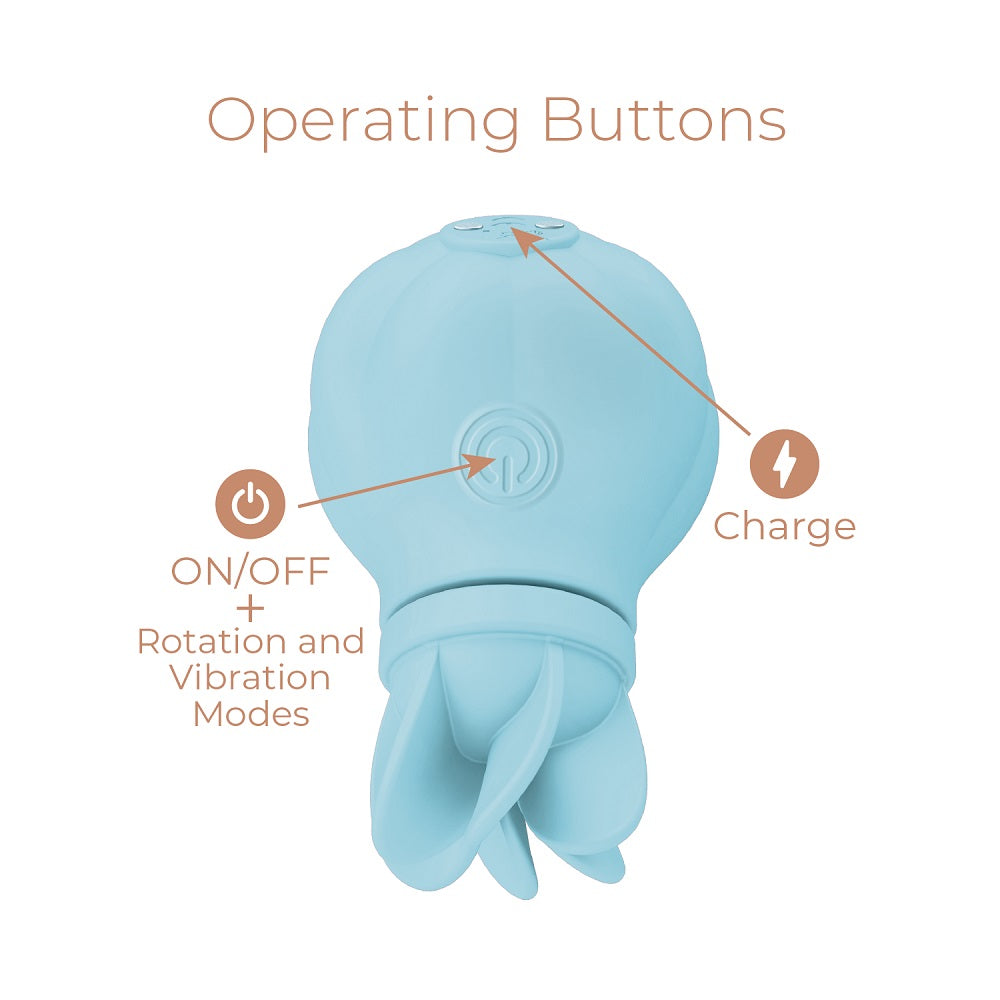 Adrien Lastic Caress Blue Rotating Massager with 5 Interchangeable Heads > Vibrators > Standard Vibrators