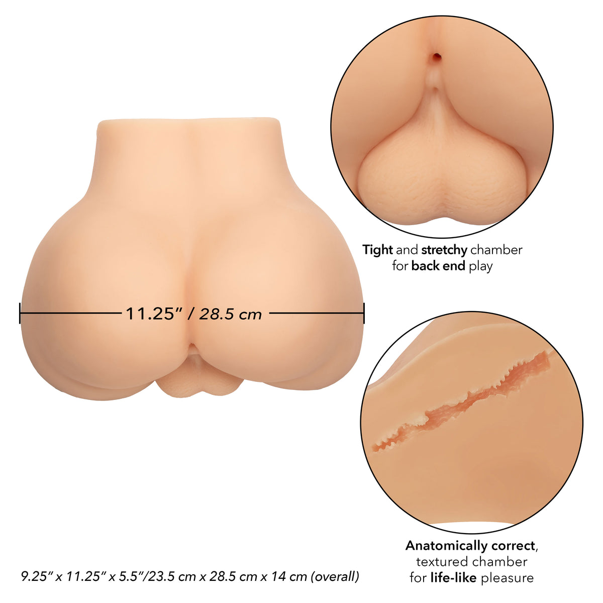 Stroke It Bottom Banger Ivory Realistic Pleasure Chamber 7.5 Pounds Pure Skin Material > Sex Toys For Men > Assbators