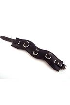 Rouge Leather Posture Collar (Black) – Padded Collar with D-Rings > Bondage Gear > Collars & Leashes