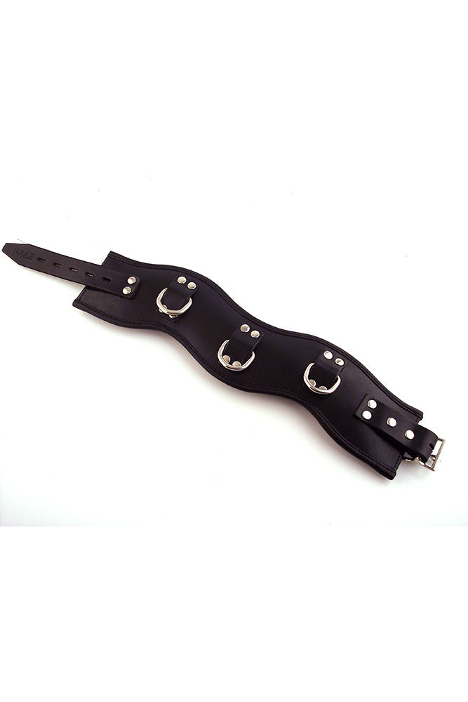 Rouge Leather Posture Collar (Black) – Padded Collar with D-Rings > Bondage Gear > Collars & Leashes